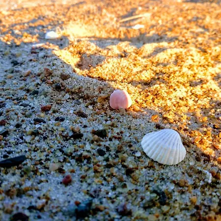 Miriada Rowy (Pomerania)