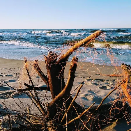 Miriada * Rowy (Pomerania)