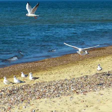 Miriada Rowy (Pomerania)